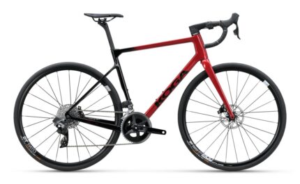 Koga Roqa Premium - 28 Zoll 2024