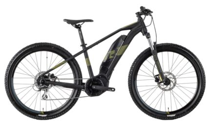 Raymon HardRay E 2.0 T350 - 500 Wh - 29 Zoll