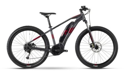 Raymon HardRay E 3.0 T350 - 500 Wh - 29 Zoll