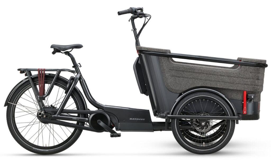 Batavus Fier-3 Env - 500 Wh - 20 Zoll - Dreirad - 2023