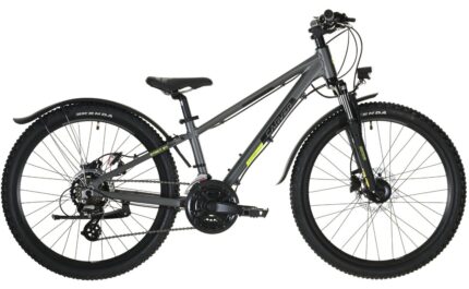 Carver Strict 24 HD Street - 24 Zoll - Diamant - 2024.01