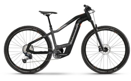 Haibike HardNine 10 625 Wh 29 Zoll Diamant.01